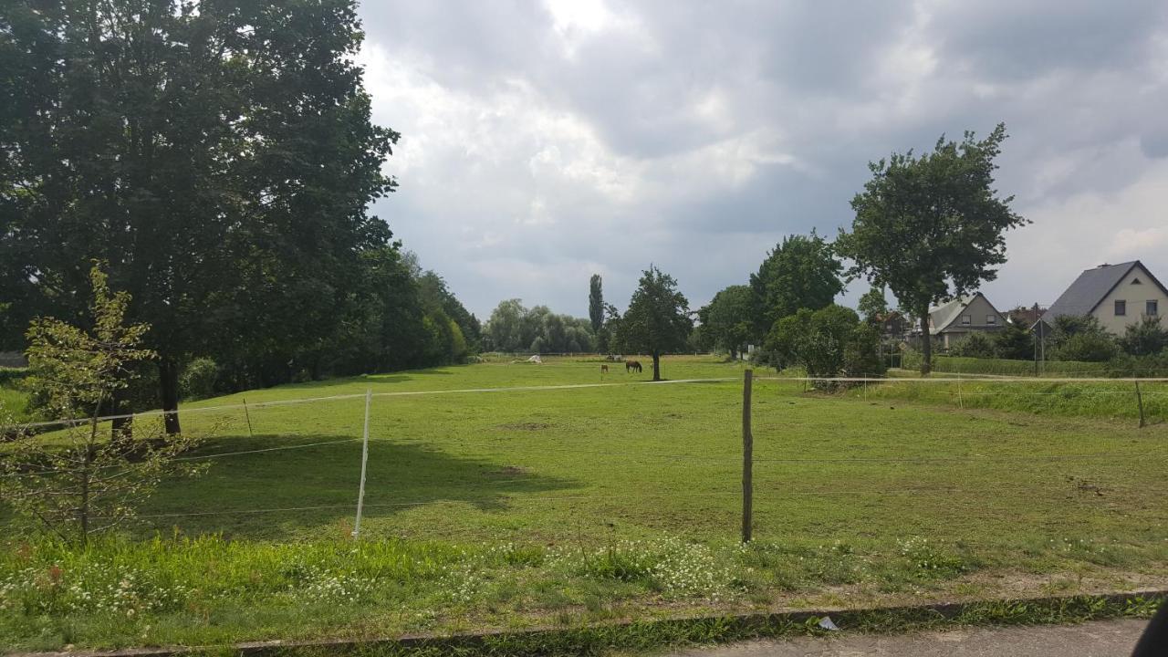 Gasthaus Schillebold Peitz Rom bilde